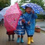 6月6日(水) 6月6日(水)