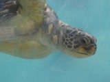 海の学校　１日目／後編