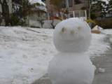 大雪のあと