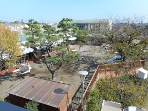DSCN0053