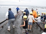 １・６年生　地引き網