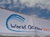 World Oceans Day 2015＠湘南