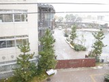 １１月なのに雪～５４年ぶりの記録～