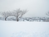 原点は８年前 ～「雪の学校」～