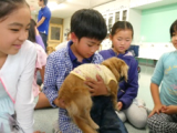 【7月スペシャル】7月19日（水）犬の命について考えてみよう