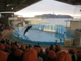 1年　新江ノ島水族館遠足