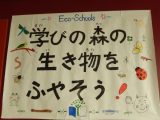 エコスクール委員会〜学びの森の生き物をふやそう〜