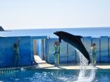 １年生　新江ノ島水族館見学