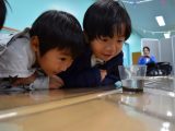 １年生　新江ノ島水族館見学