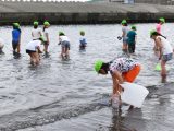 ４年引地川河口校外学習