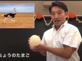 第一回オンライン体験授業 第一回オンライン体験授業