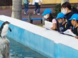 海は広いな大きいな -３年生海の学校-