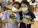【定期プログラム】日本文化(華道) 【定期プログラム】日本文化(華道)