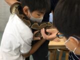 【スペシャル】いきものの正しい持ち方 🐍🦎🐁