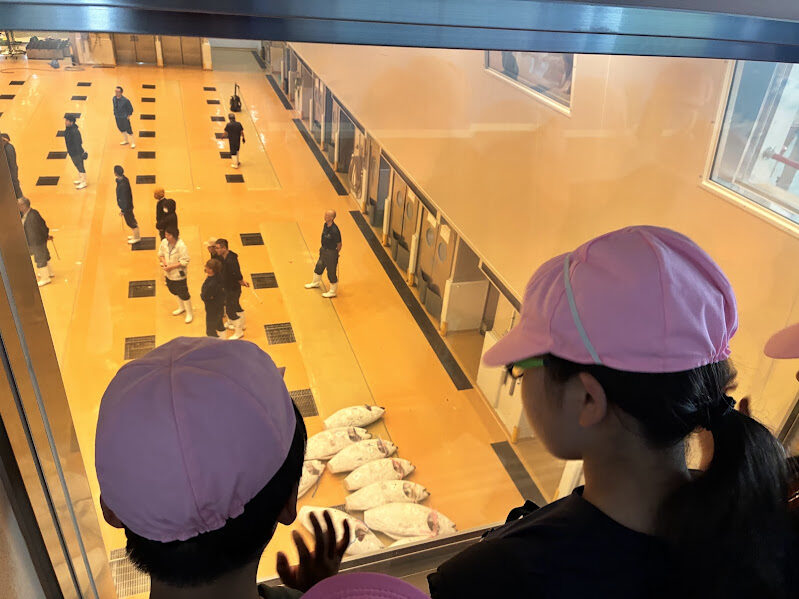 ノーベルまぐろ賞　〜三崎漁港見学での学び〜