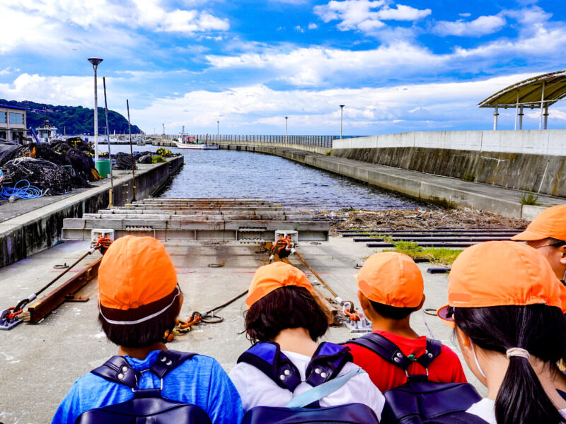 🐟 3年生 社会科見学レポート：片瀬漁港へ行きました！ 🌊