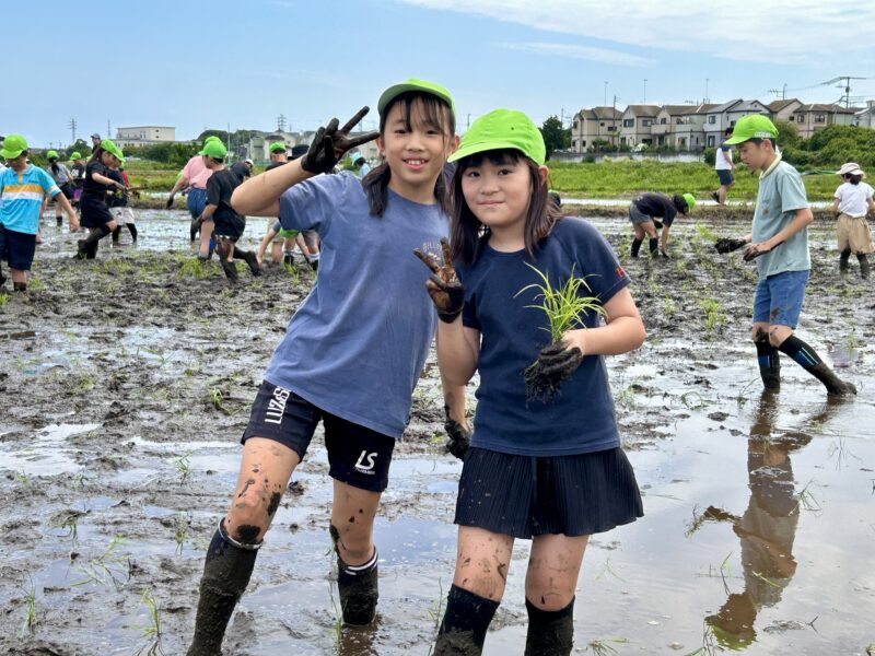 ５年　田植え体験