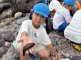 ３年　海の学校①