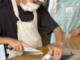 ３年　海の学校③