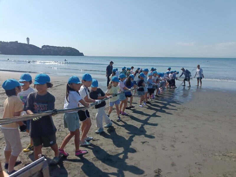 3年  片瀬漁港見学・地引き網
