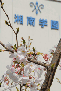 第2回 桜と晴天のもとで、すばらしい入学式！