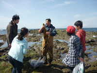 海藻の観察2