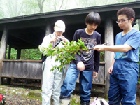 2011夏合宿赤谷の森4