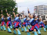 第247回  湘南よさこい祭り：ダンス部が二年連続入賞の快挙！
