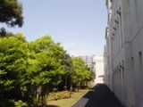 第260回 地域の防災拠点でもある湘南学園