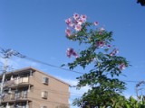 第348回 本日は、後期の公開授業を実施