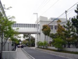 第382回 大学入試センター試験の受験を終えて