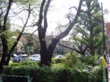 第383回 学園卒業後２０年を経て～嬉しい再会