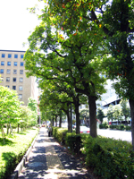 第497回 高校２年生の「特別教育活動」～本校の総合学習から