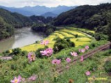 第502回 ９５年間の軌跡～ある偉大な人生に学ぶ（続）