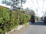 第629回 学年末試験の到来まであと１週間
