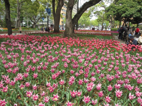 校長通信 第654回 自己紹介カード の工夫 湘南学園中学校高等学校