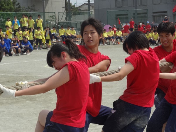 学びblog 体育祭の模様を紹介します 湘南学園中学校高等学校