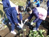 中学2年生　学年の日で八ヶ岳にいってきました！