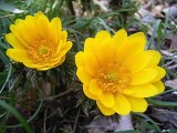第848回　湘南学園中高・３月の予定から