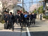 桜の登校