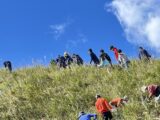 今年も丹沢…春の植樹活動へ　神奈川の水源林を育てよう！