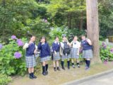 鎌倉学校茶道・坐禅と法話の会