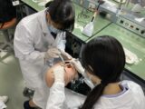 神奈川歯科大学　体験学習