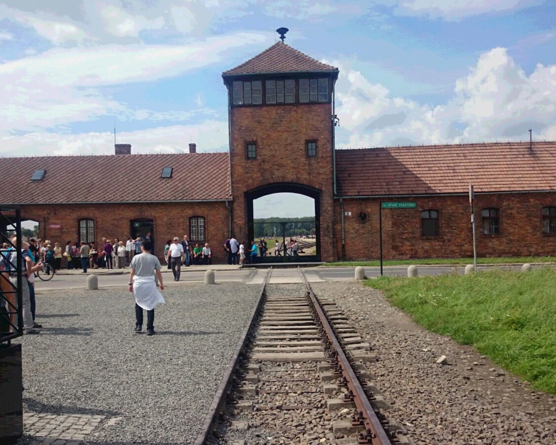 「リトポー」の紹介！