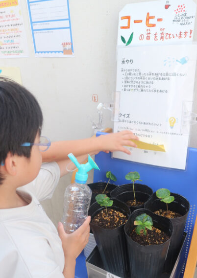 コーヒーの苗、小学校へ！！