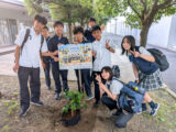 「湘南学園コーヒー農園化計画」（7月16日）！！