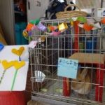 9月14日(金) 9月14日(金)