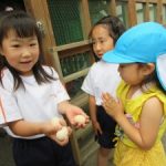 5月31日(金) 5月31日(金)