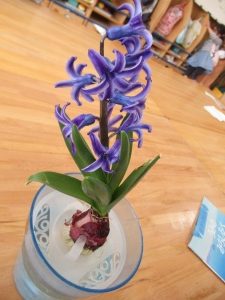3月1日(月)