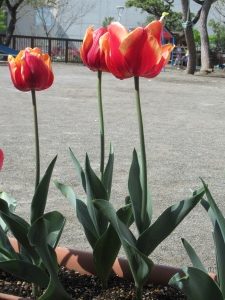 4月8日（木）始業の日